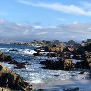 Meet your Posher, Dawn